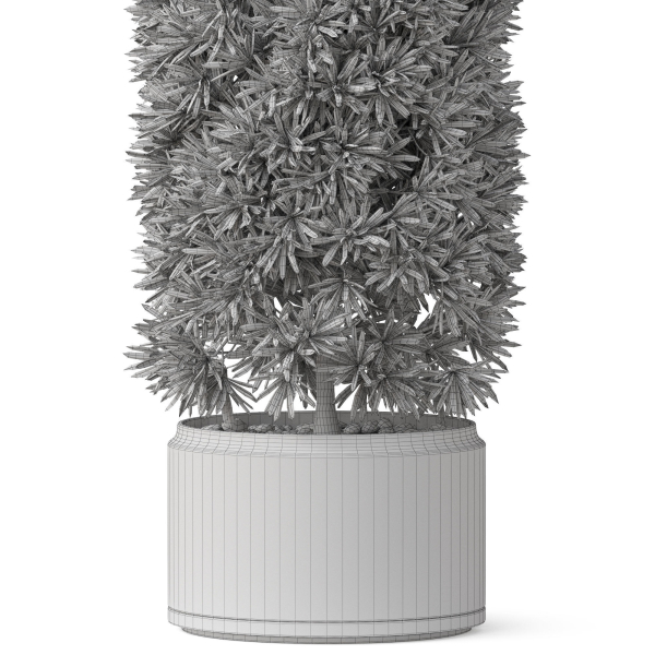 Plants collection 852