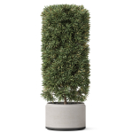Plants collection 852