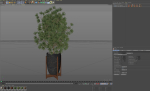 Plants collection 853