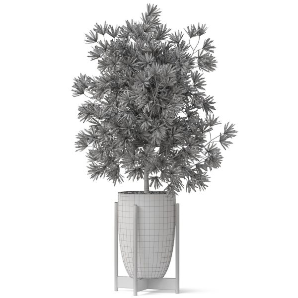 Plants collection 853