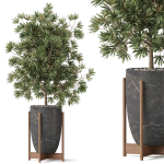 Plants collection 853