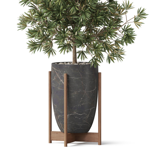 Plants collection 853
