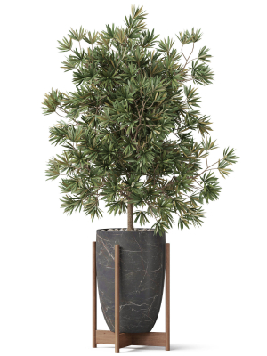 plants-collection-853-3d-model-6ba9872d0e