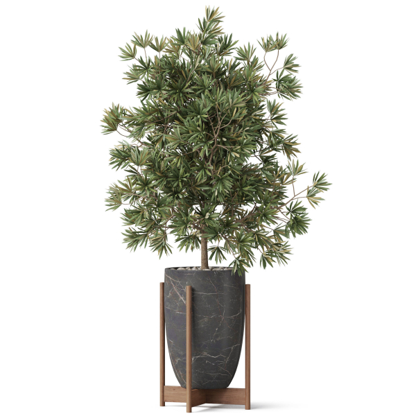 Plants collection 853