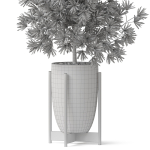 Plants collection 853