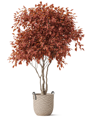plants-collection-855-3d-model-29eccfde7a