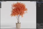 Plants collection 855