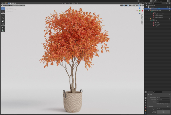Plants collection 855