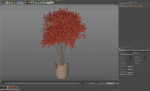 Plants collection 855