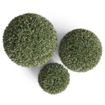 Plants collection 857