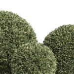 Plants collection 857