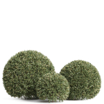 Plants collection 857