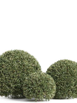 plants-collection-856-3d-model-ee15c53bff