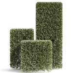 Plants collection 858