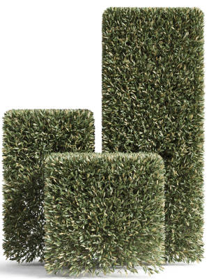plants-collection-858-3d-model-1255e2d363
