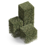 Plants collection 858