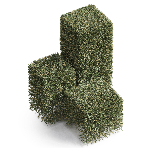 Plants collection 858