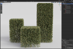 Plants collection 858