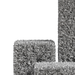 Plants collection 858