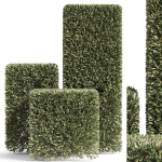 Plants collection 858