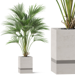 Plants collection 867