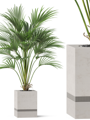 Plants collection 867