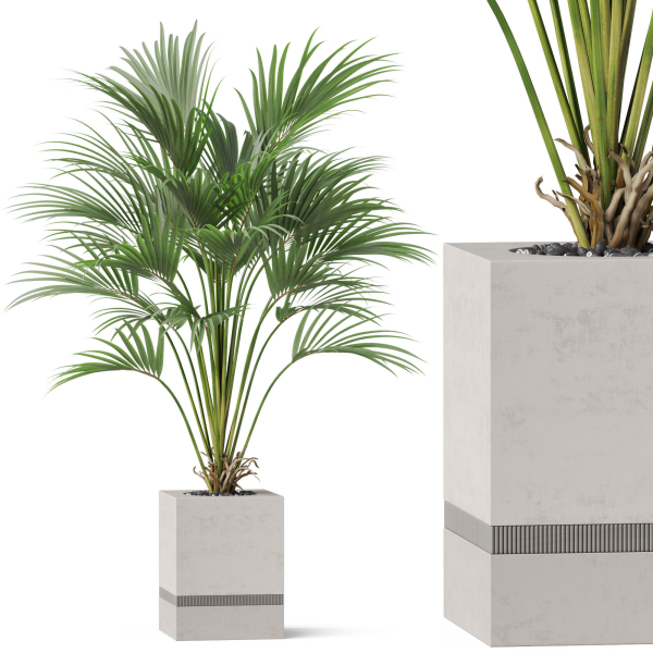 Plants collection 867