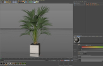 Plants collection 867