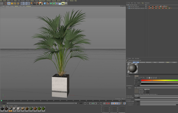 Plants collection 867
