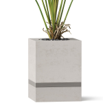 Plants collection 867