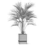Plants collection 867