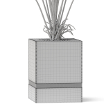Plants collection 867