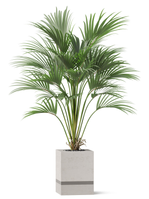plants-collection-867-3d-model-dded17b455