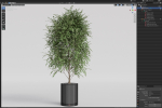 Plants collection 871