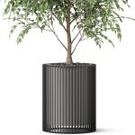 Plants collection 871