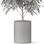 Plants collection 871
