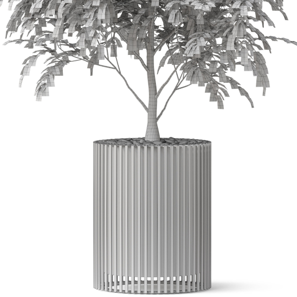 Plants collection 871