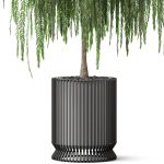 Plants collection 872