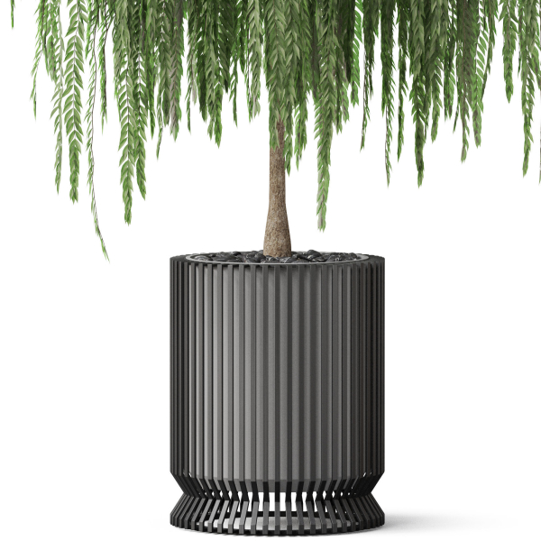 Plants collection 872