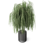 Plants collection 872