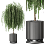 Plants collection 872
