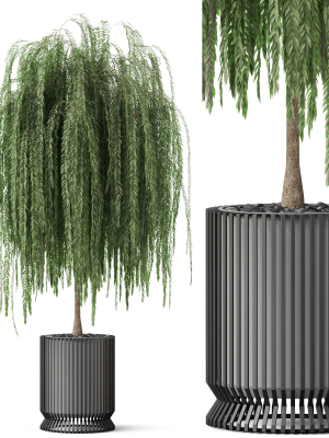 Plants collection 872