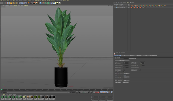 Plants collection 876