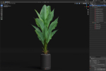 Plants collection 876