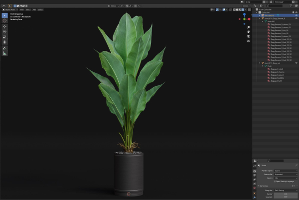 Plants collection 876