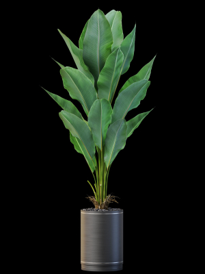 plants-collection-876-3d-model-7ddc5db1d1