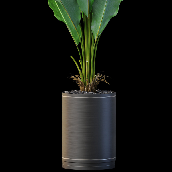 Plants collection 876