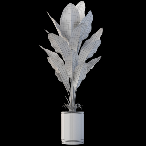 Plants collection 876
