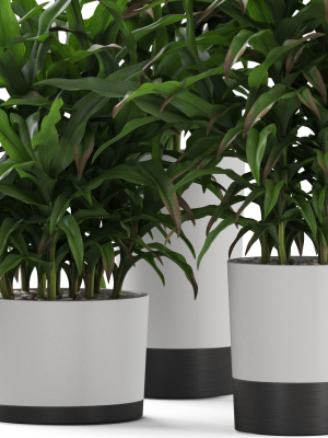 plants-collection-889-3d-model-9232138ca0