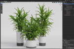 Plants collection 889
